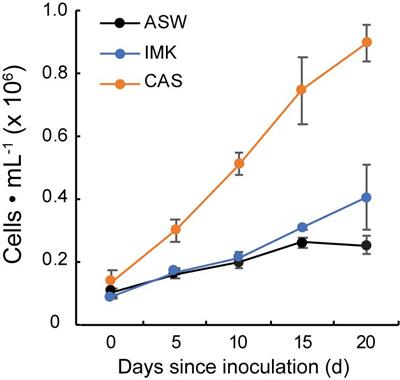 Transcriptome Reprogramming of Symbiodiniaceae Breviolum minutum in Response to Casein Amino Acids Supplementation